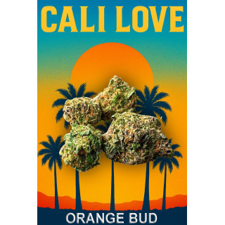Orange bud - Fleurs de CBD - Happy Flowers