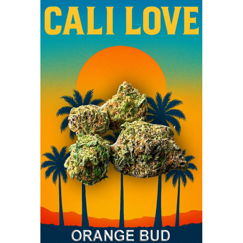 Orange bud - Fleurs de CBD - Happy Flowers