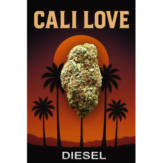 Diesel - Fleurs de CBD - Happy Flowers