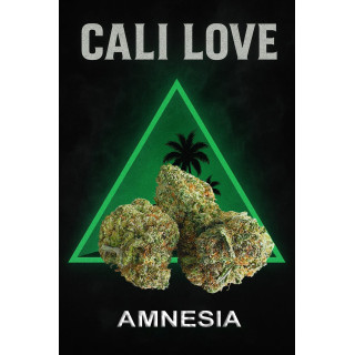 Amnesia - Fleurs de CBD - Happy Flowers