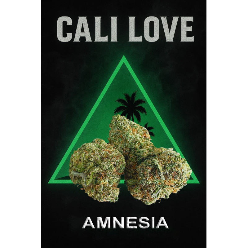 Amnesia - Fleurs de CBD - Happy Flowers