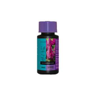 Blossom Builder - Atami 100 ml