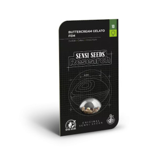 Buttercream Gelato - Féminisée - Sensi Seeds Research | ROOTS-SEEDS.FR