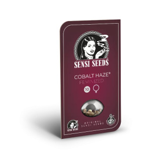 Cobalt Haze - Féminisée - Sensi Seeds