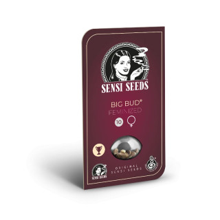 Big Bud - Féminisée - Sensi Seeds - | ROOTS-SEEDS.FR