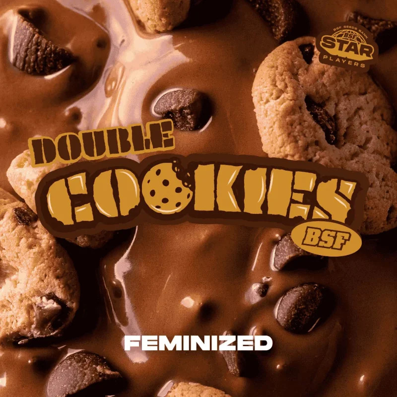 Double Cookies - Féminisée - BSF Seeds | ROOTS-SEEDS.FR