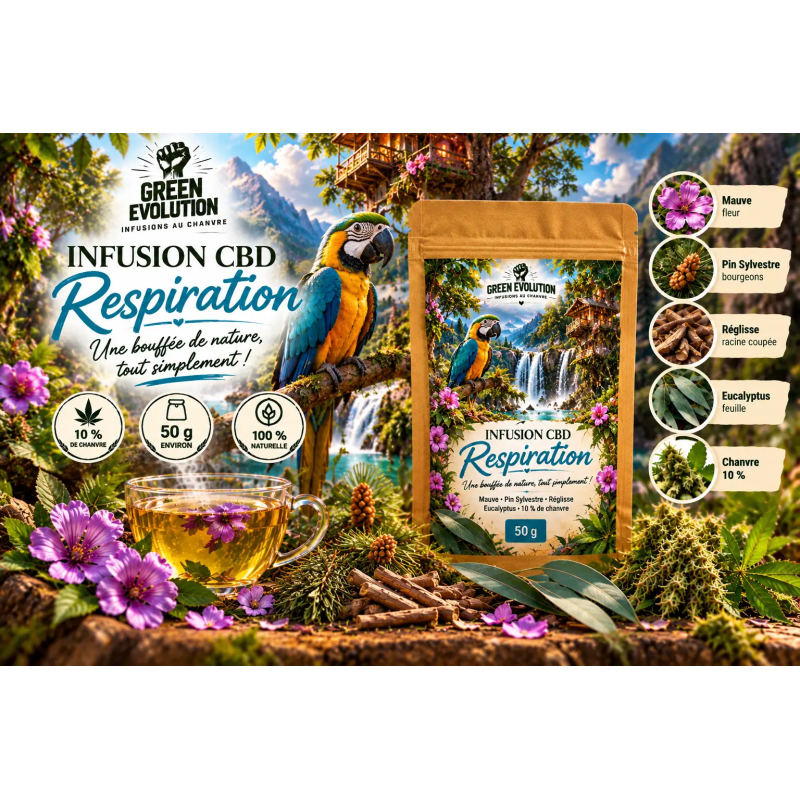 Infusion CBD Respiration 50 g | Green Evolution