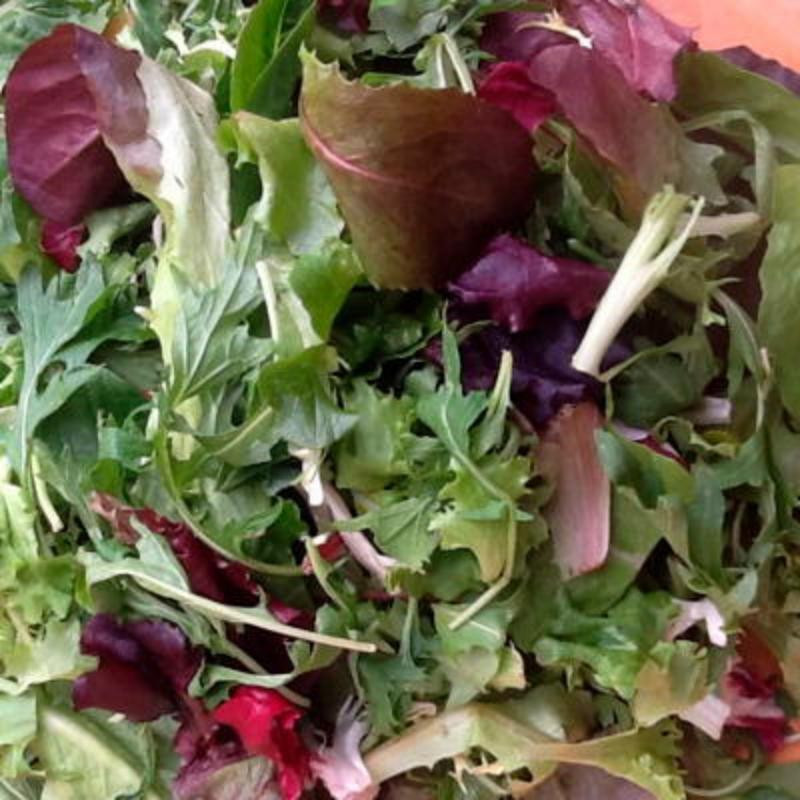 Mesclun de printemps et d'été piquant