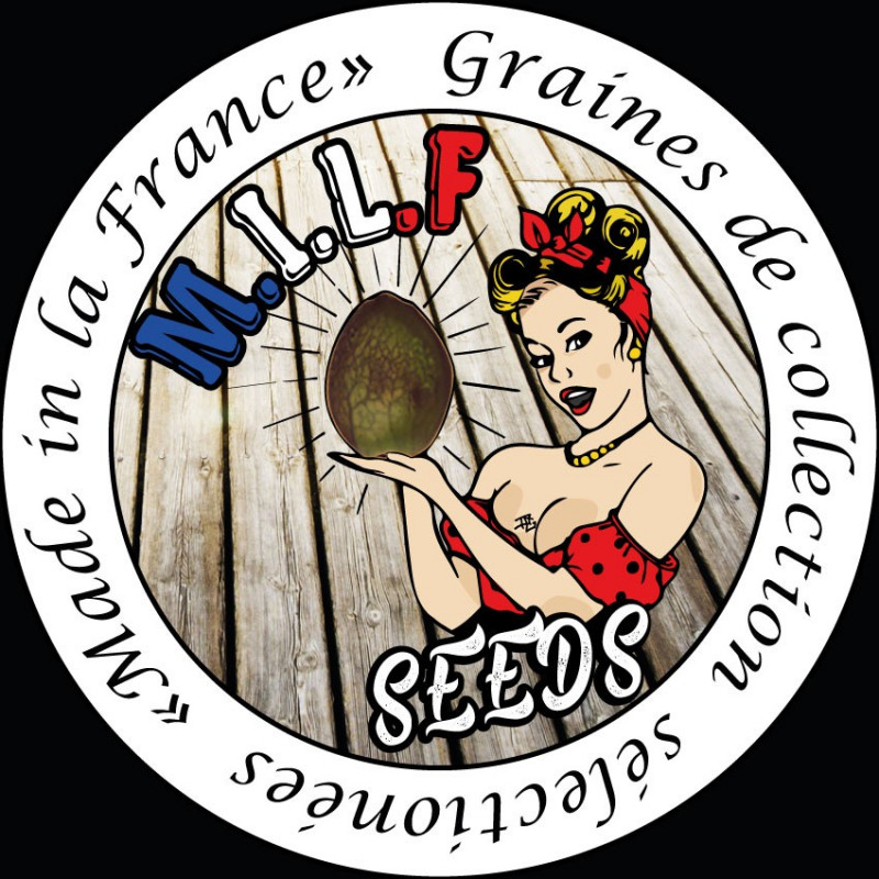 Chambéry auto milf seeds Chambéry auto milf seeds