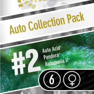 Auto collection pack 2 paradise seeds féminisée