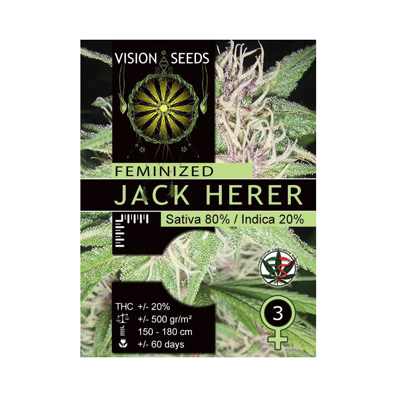 Jack herer vision seeds féminisée