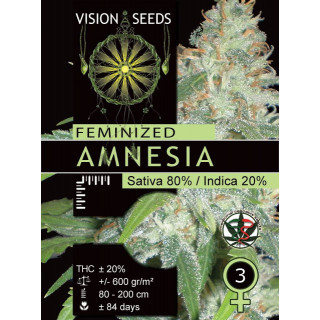 Amnesia vision seeds féminisée