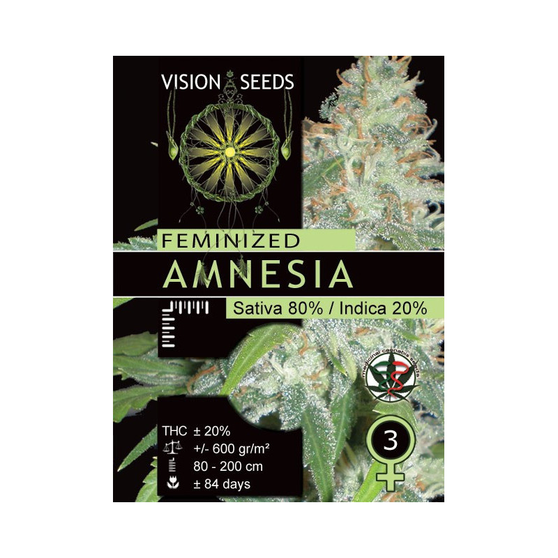 Amnesia vision seeds féminisée