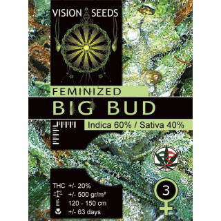 Big bud vision seeds féminisée
