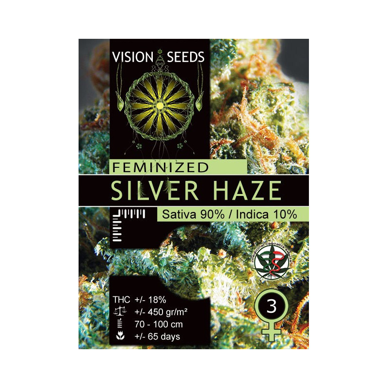 Silver haze vision seeds féminisée
