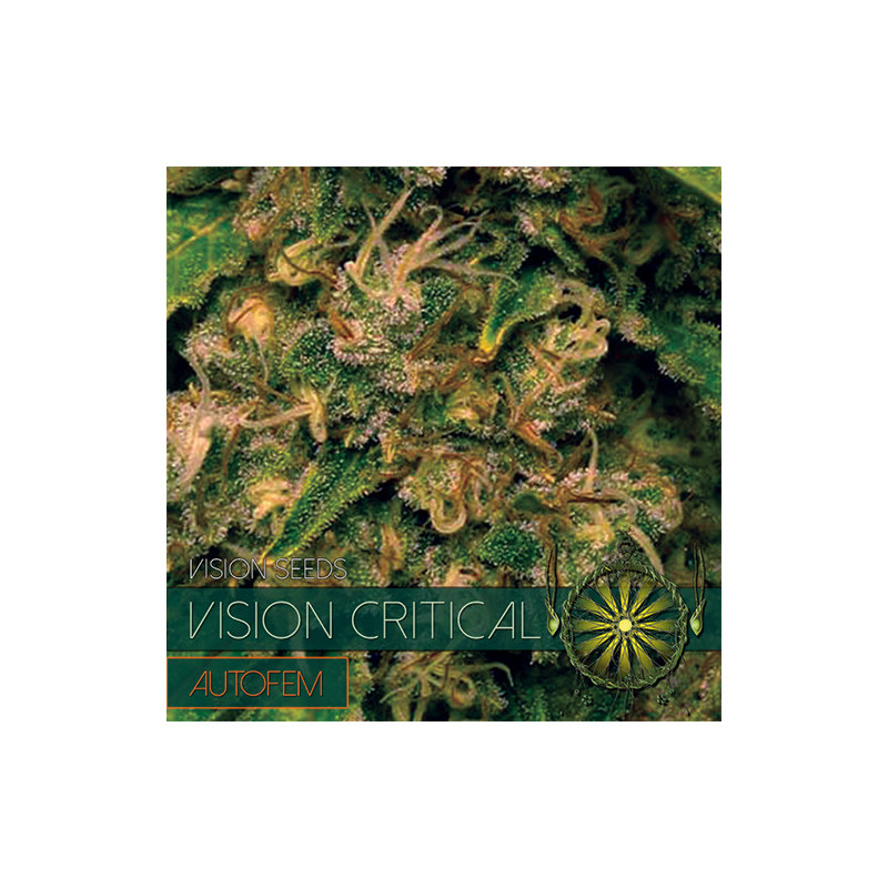 Vision critical auto vision seeds