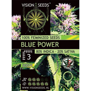 Blue power vision seeds féminisée