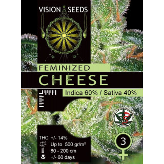 Cheese vision seeds féminisée Graines de Collection
