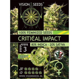 Critical impact vision seeds féminisée