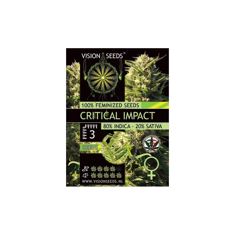 Critical impact vision seeds féminisée