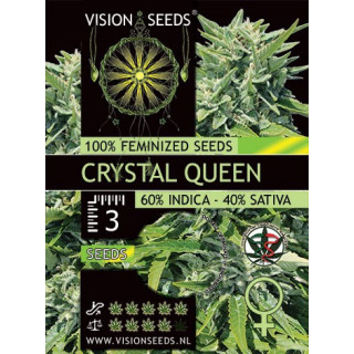 Cristal queen vision seeds féminisée