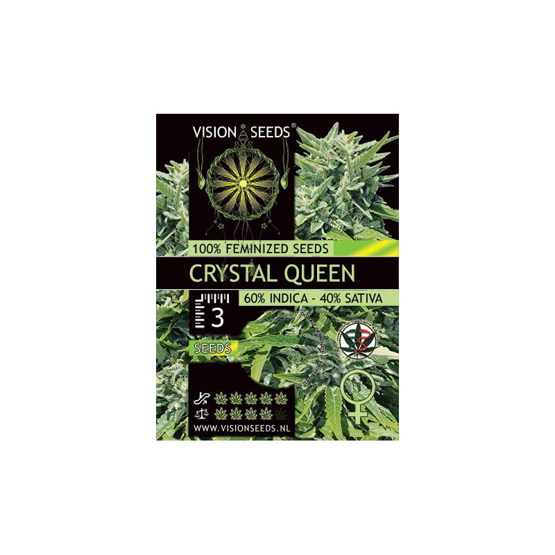 Cristal queen vision seeds féminisée