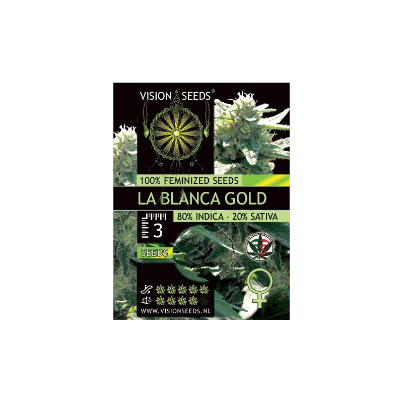 La blanca gold vision seeds