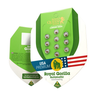 Royal gorilla automatic royal queen seeds