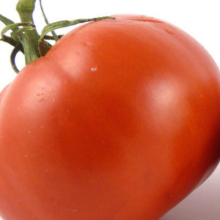 Tomate rouge charnue de Huy bio - sachet 35 graines