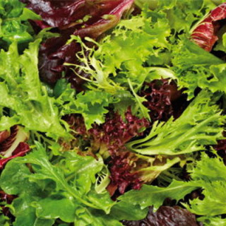 Mesclun de printemps et d'été doux bio Kokopelli