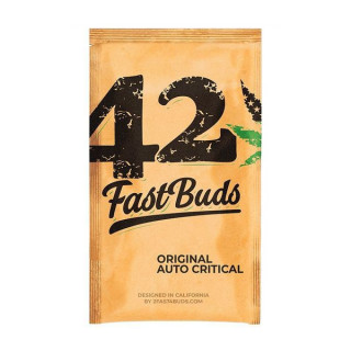 Original auto critical fastbuds