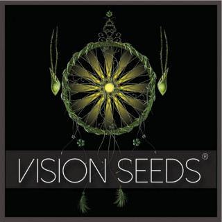 Vision cookies vision seeds féminisée Graines de Collection