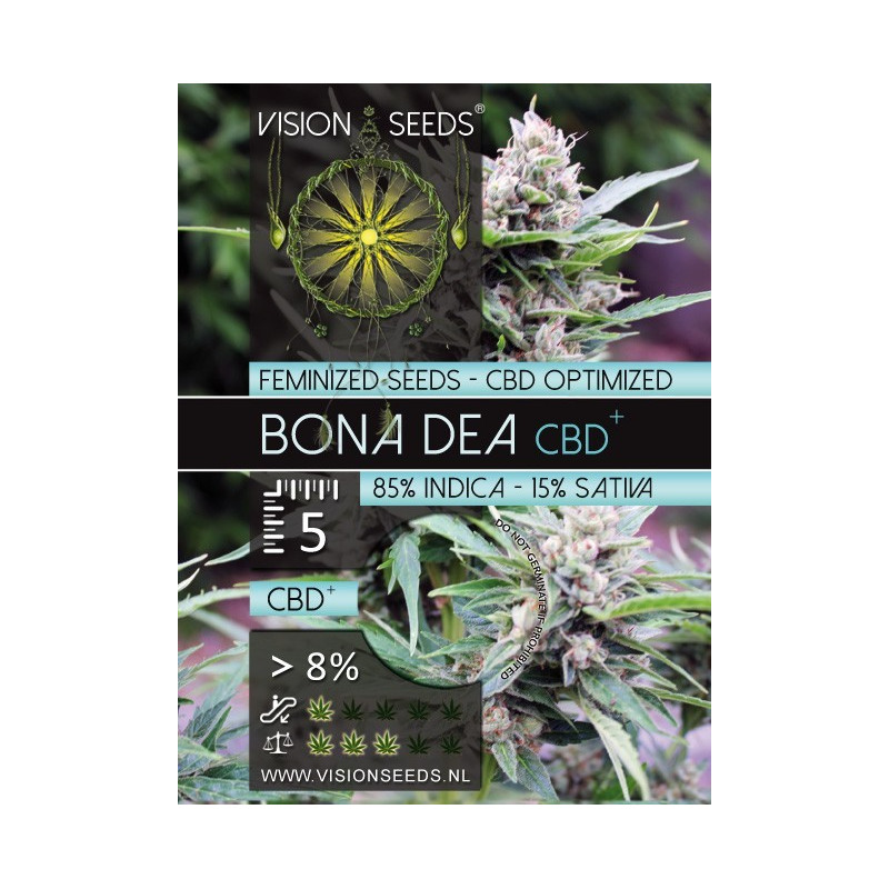 Bona dea CBD+ vision seeds féminisée