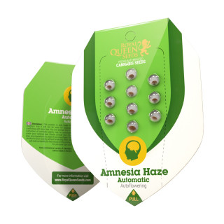 Amnesia Haze - Automatic - Royal Queen Seeds - Graines de Collection
