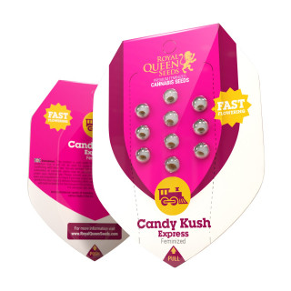 Candy kush express fast version royal queen seeds
