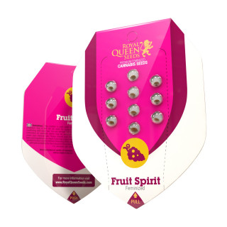 Fruit spirit royal queen seeds féminisée