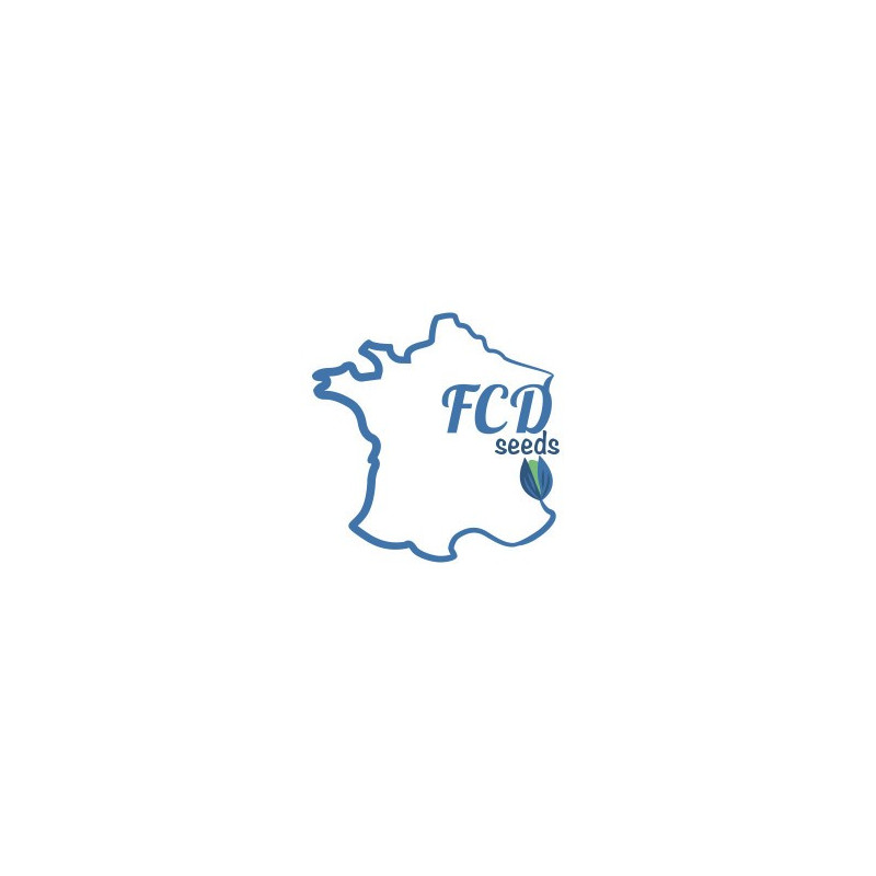 Graine à l'unité Graine à l'unité