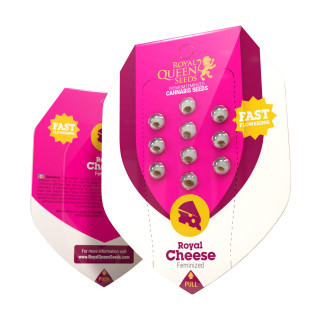 Royal cheese fast version royal queen seeds