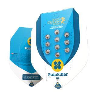 Painkiller XL CBD - Féminisée - Royal Queen Seeds - Graines de Collection