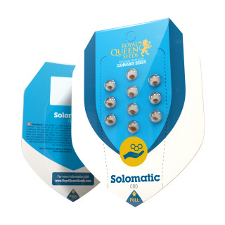 Solomatic CBD auto royal queen seeds