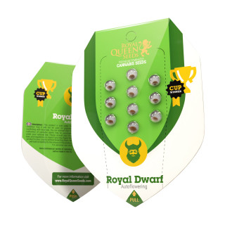 Royal Dwarf Automatic - Royal Queen Seeds - Graines de Collection