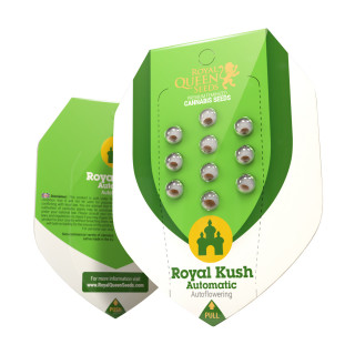 Royal kush automatic royal queen seeds