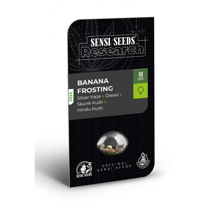 Banana frosting sensi seeds féminisée Graines de Collection