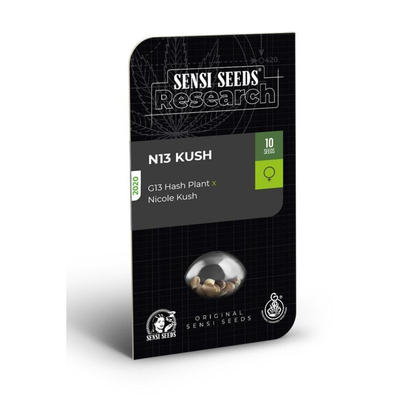 N13 Kush sensi seeds féminisée Graines de Collection