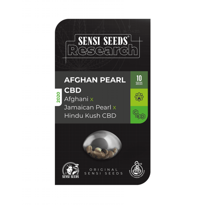 Afghan pearl CBD  - Automatic - Sensi Seeds - Graines de Collection