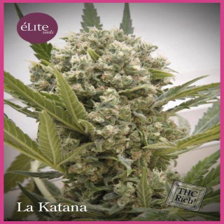 La katana elite seeds féminisée