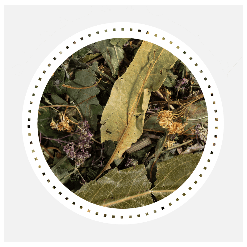Mélange d'herbes pour les bronches 50gr - India