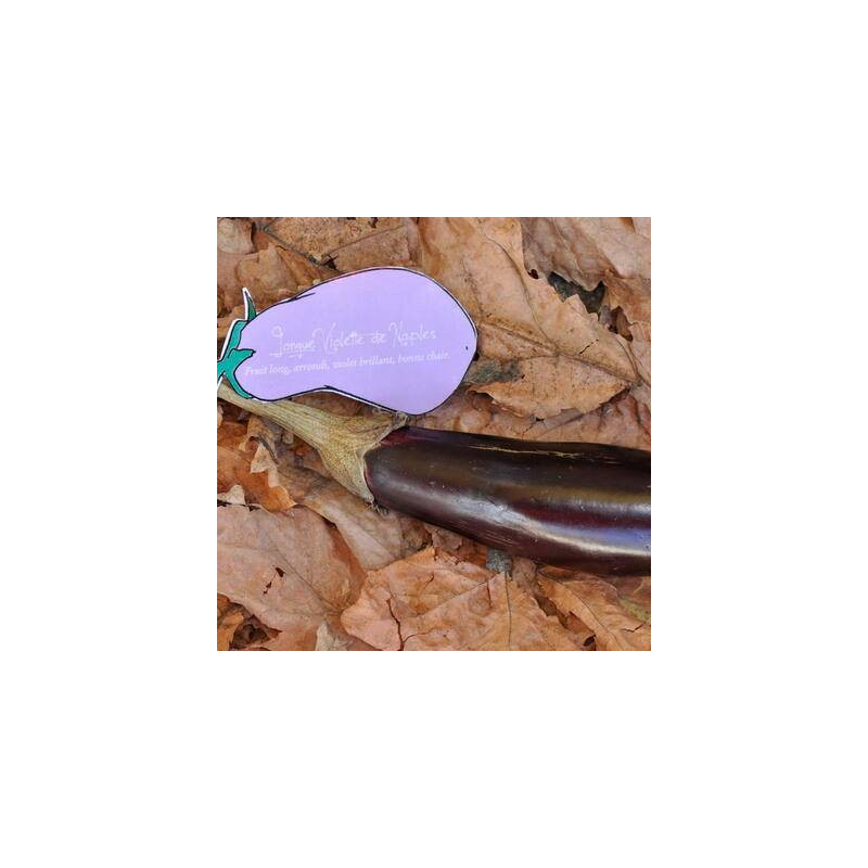 Aubergine longue Violette de Naples sachet de 30 graines- Kokopelli Aubergine longue Violette de Naples sachet de 30 graines- Kokopelli