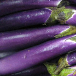 Aubergine Thai Long Purple sachet de 30 graines- Kokopelli