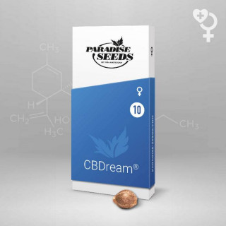 CBDream Paradise Seeds - Féminisée